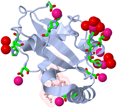 Image Biol. Unit 1 - sites