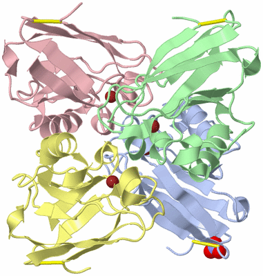 Image Asym./Biol. Unit