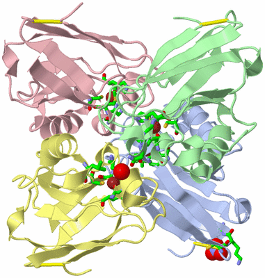 Image Asym./Biol. Unit - sites