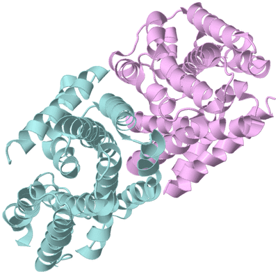 Image Biological Unit 3