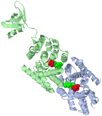 Image Biological Unit 1