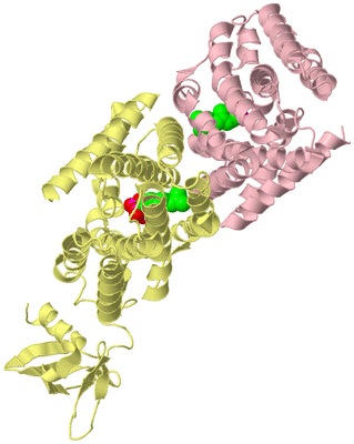 Image Biological Unit 2