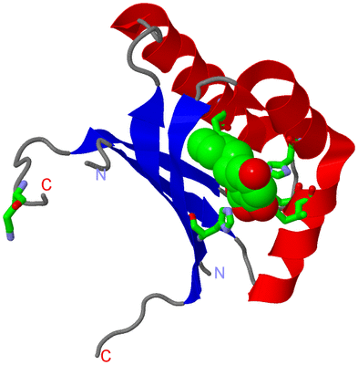 Image Asym. Unit - sites