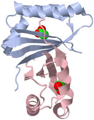 Image Biological Unit 1