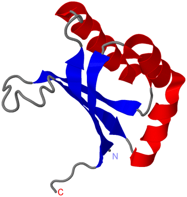 Image Asymmetric Unit