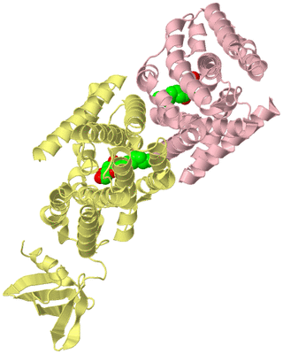 Image Biological Unit 2