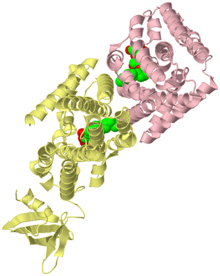 Image Biological Unit 2