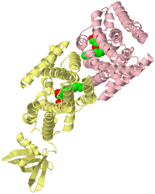 Image Biological Unit 2