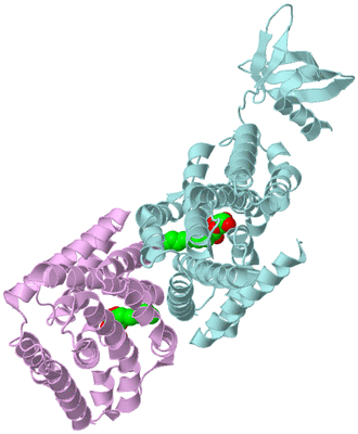 Image Biological Unit 3