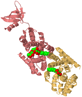 Image Biological Unit 4