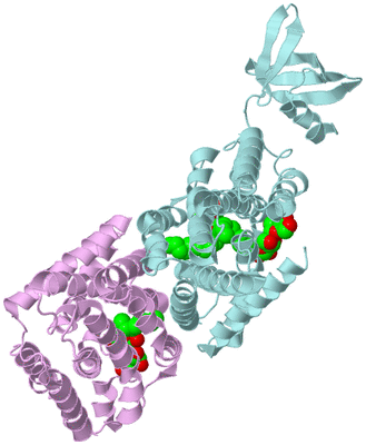 Image Biological Unit 3