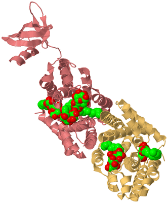 Image Biological Unit 4