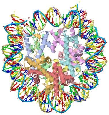 Image Asym./Biol. Unit