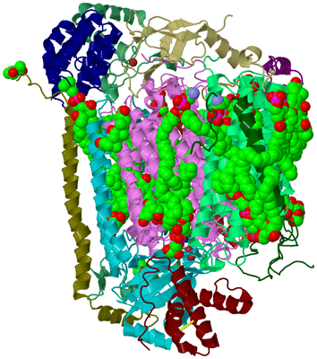 Image Biological Unit 2