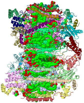 Image Asym. Unit - sites