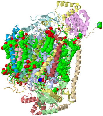 Image Biol. Unit 1 - sites