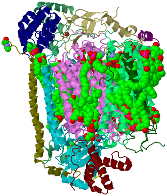 Image Biological Unit 2