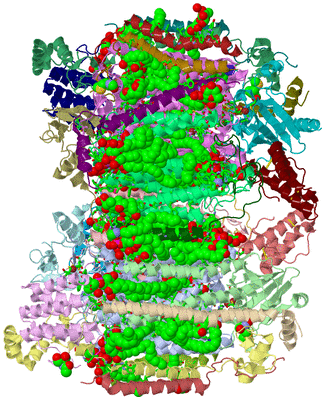 Image Asym. Unit - sites