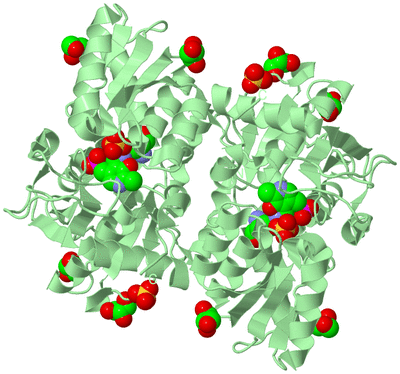 Image Biological Unit 2