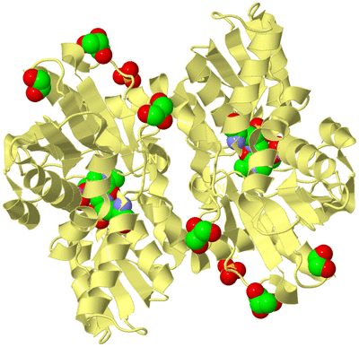 Image Biological Unit 3