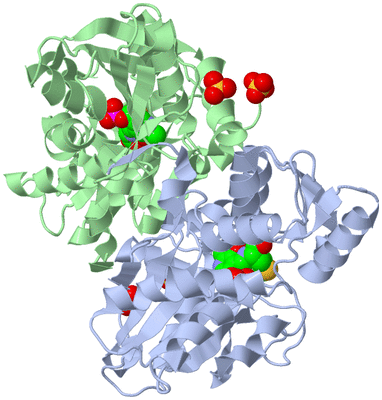 Image Biological Unit 1