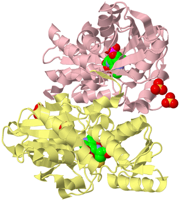 Image Biological Unit 2