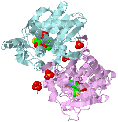 Image Biological Unit 3