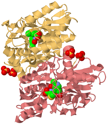 Image Biological Unit 4