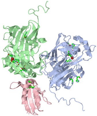 Image Asym./Biol. Unit - sites