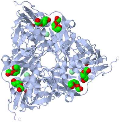 Image Biological Unit 1