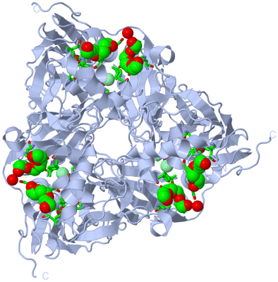 Image Biol. Unit 1 - sites