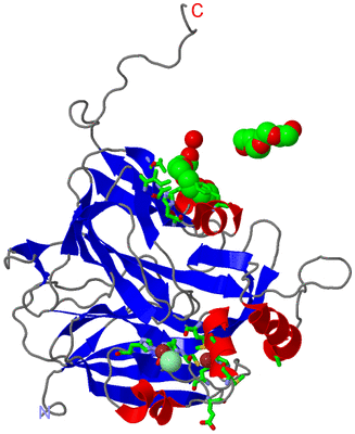 Image Asym. Unit - sites