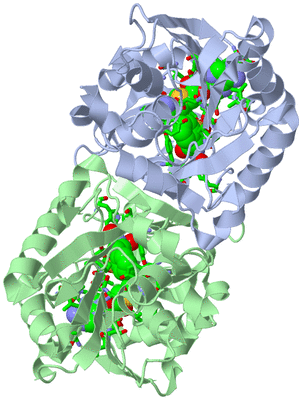 Image Biol. Unit 1 - sites