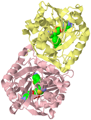 Image Biological Unit 2