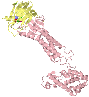 Image Biological Unit 2