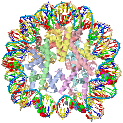 Image Asym./Biol. Unit