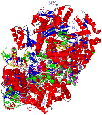 Image Asym./Biol. Unit