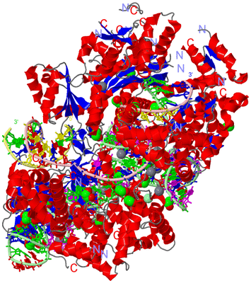 Image Asym./Biol. Unit