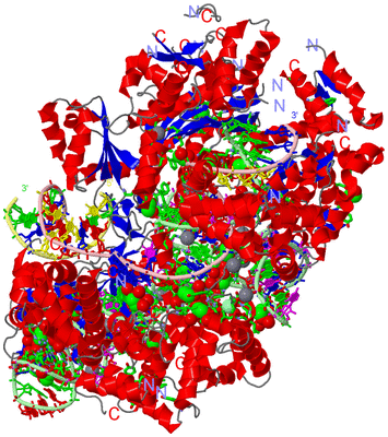 Image Asym./Biol. Unit - sites