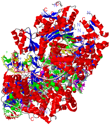 Image Asym./Biol. Unit