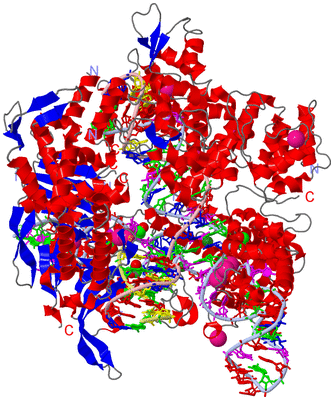 Image Asym./Biol. Unit