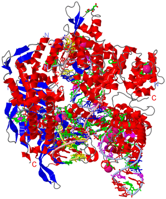 Image Asym./Biol. Unit - sites