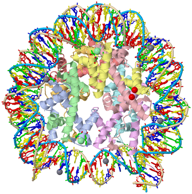 Image Asym./Biol. Unit - sites