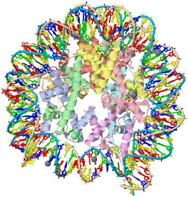 Image Asym./Biol. Unit - sites