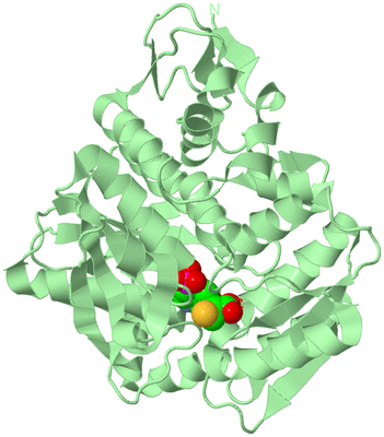 Image Biological Unit 2