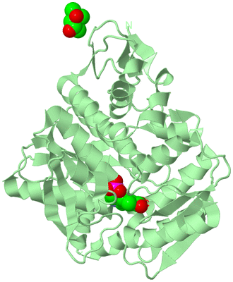 Image Biological Unit 2