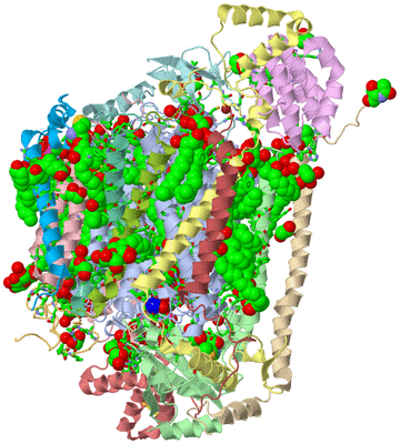 Image Biol. Unit 1 - sites