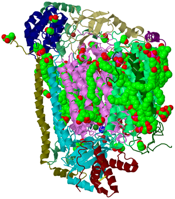 Image Biological Unit 2