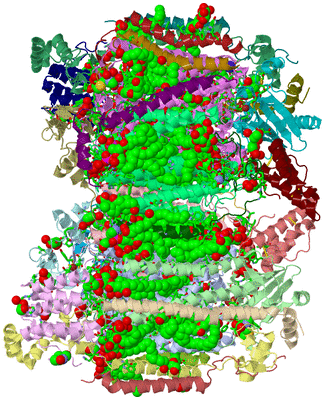 Image Asym. Unit - sites