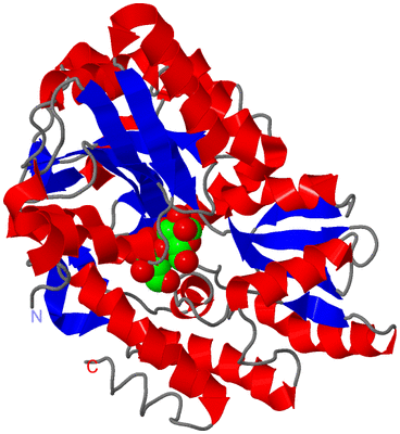 Image Asym./Biol. Unit